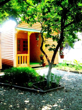 Guest House Svetlana